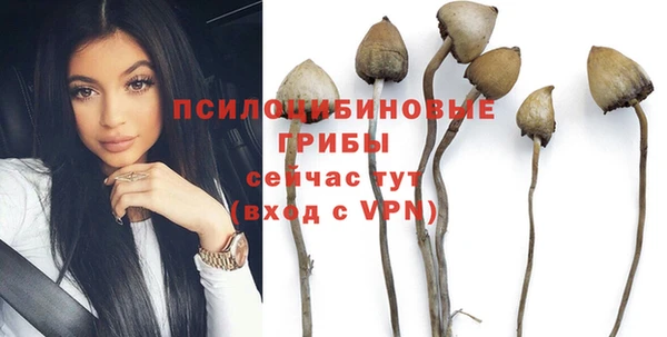 прущая мука Алзамай