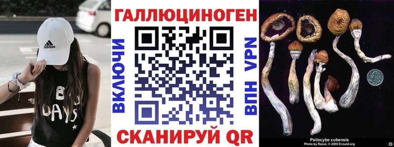 Галлюциногенные грибы Psilocybe  Нижний Ломов 